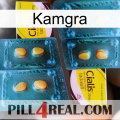 Kamgra cialis5